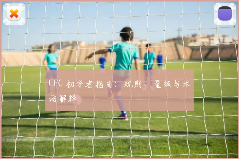 UFC 初学者指南：规则、量级与术语解释