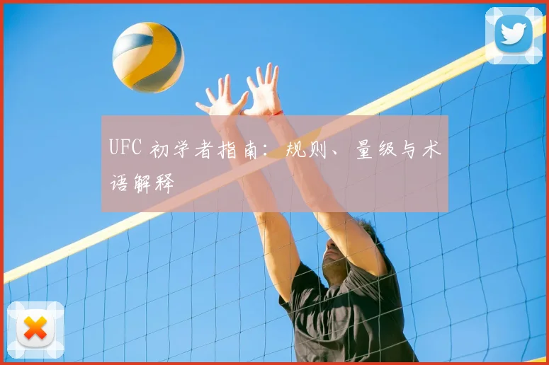 UFC 初学者指南:规则、量级与术语解释